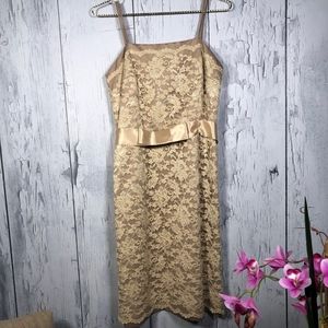 Talbots Gold/Tan Lace Formal Dress Satin Belt Sz 8